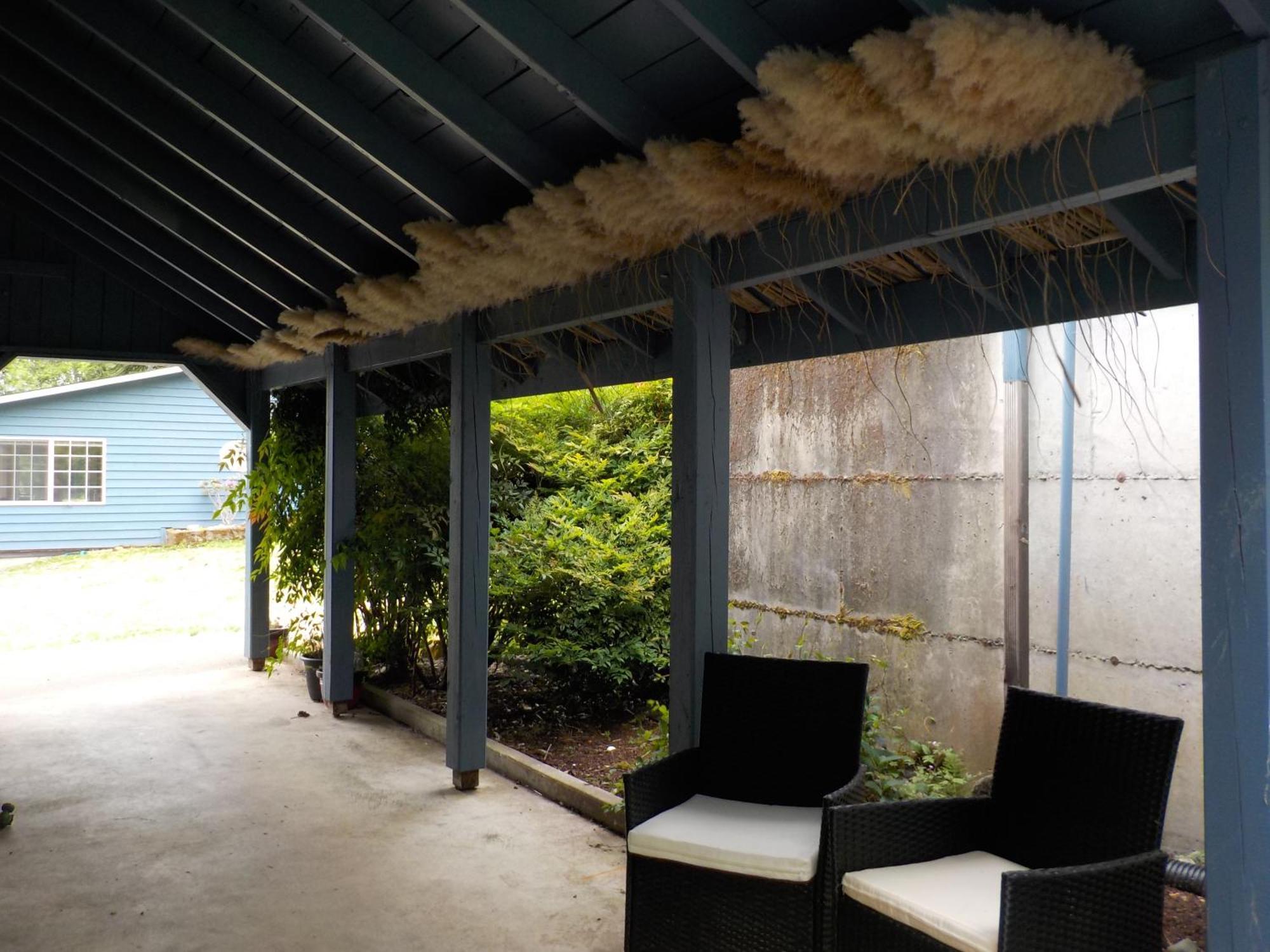 Oceanfront Studio/Loft: Alpacas, Oysters & Kayaks Шелтон Екстер'єр фото